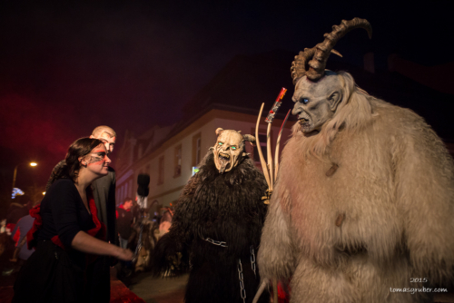 IMG 201512133347-web