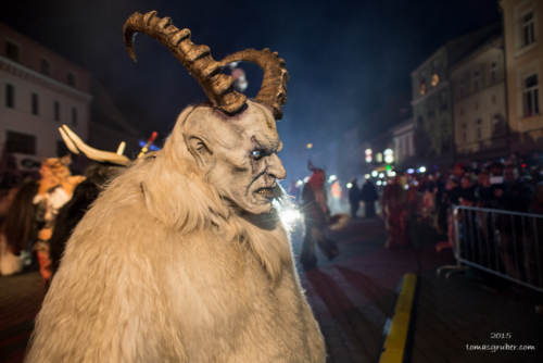 IMG 201512133351-web