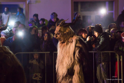 IMG 201512133367-web