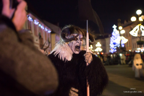 IMG 201512133377-web