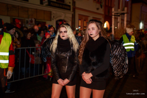 IMG 201512133385-web