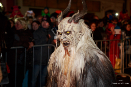 IMG 201512133388-web