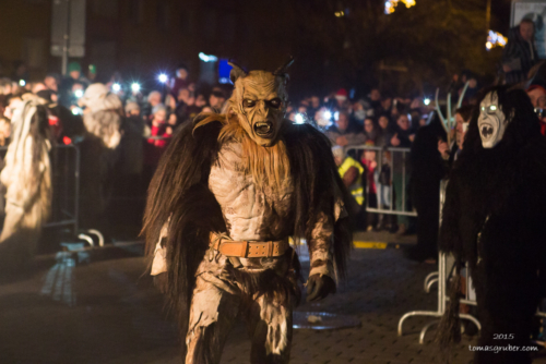 IMG 201512133404-web