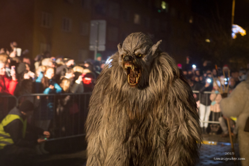 IMG 201512133411-web