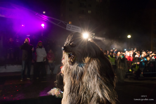 IMG 201512133414-web