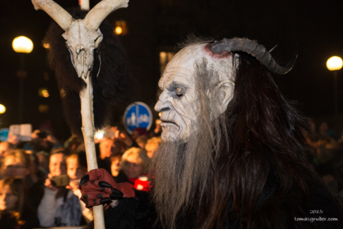 IMG 201512133433-web