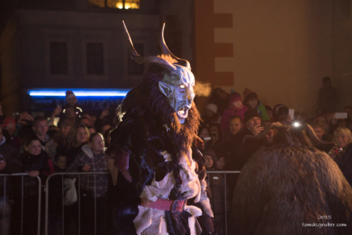 IMG 201512133440-web