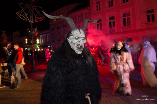 IMG 201512133451-web