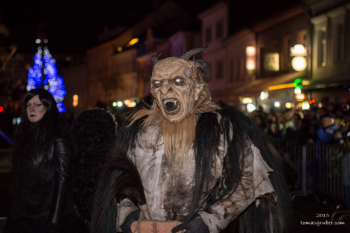 IMG 201512133469-web