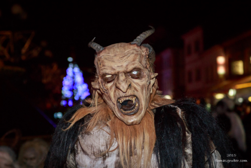 IMG 201512133471-web