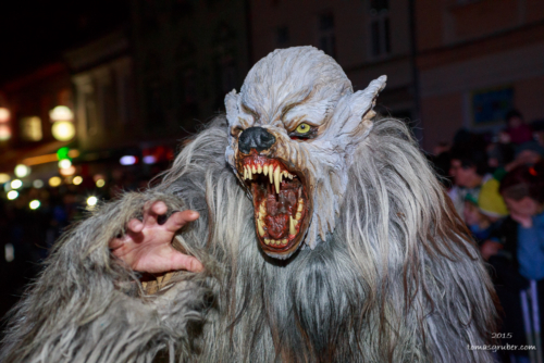 IMG 201512133473-web