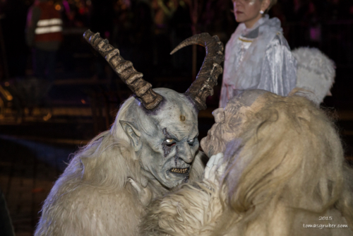 IMG 201512133479-web