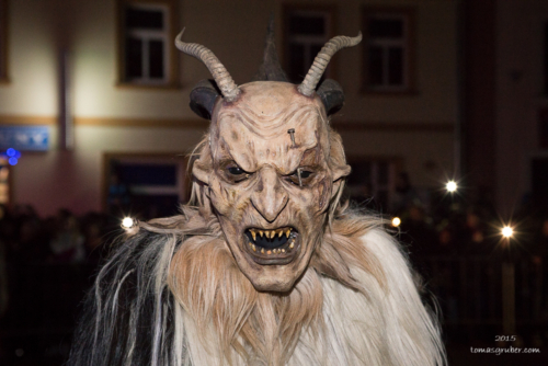 IMG 201512133481-web