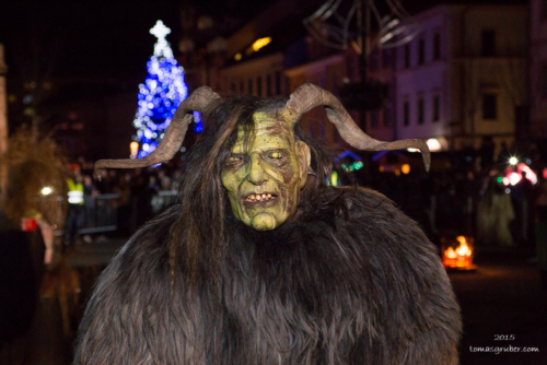 IMG 201512133489-web 