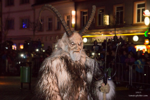 IMG 201512133490-web 