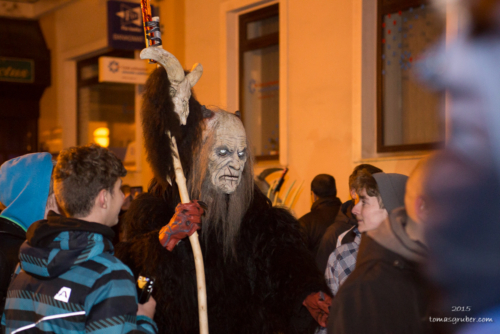 IMG 201512133508-web 