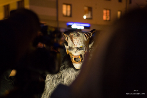 IMG 201512133514-web 