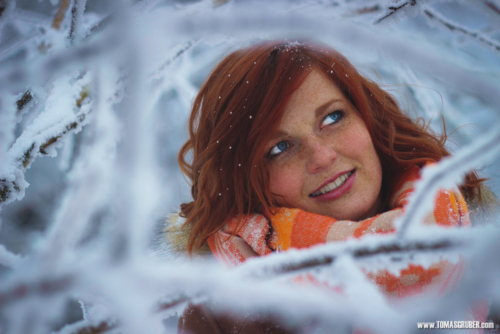 IMG 201401252893-col